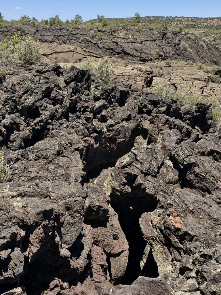 Jagged black lava rock is interspersed with various shrubs, trees and cactus plants in El Maipais National Monument, New Mexico.